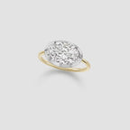 Lab Diamond East-West Oval Ring E–F VVS/VS Georgian-Inspired Button Back with Cleaning Kit